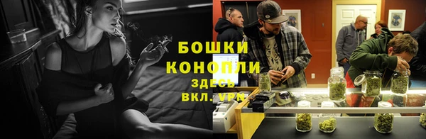 шишки Зеленодольск