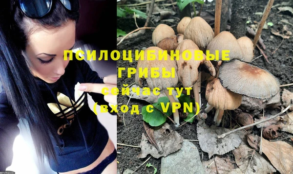 mdpv Зерноград