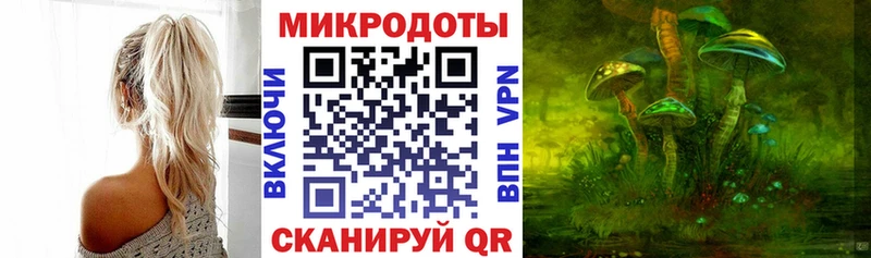 где купить наркоту  Шимановск  Псилоцибиновые грибы мицелий 